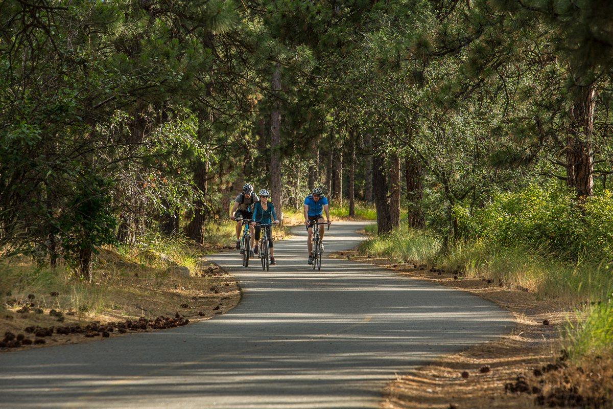 Bike Trail
